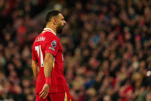 还是未来的 还是未来的