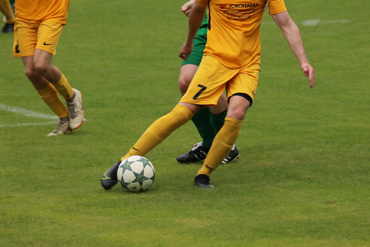 新鲜的观察 新鲜的观察